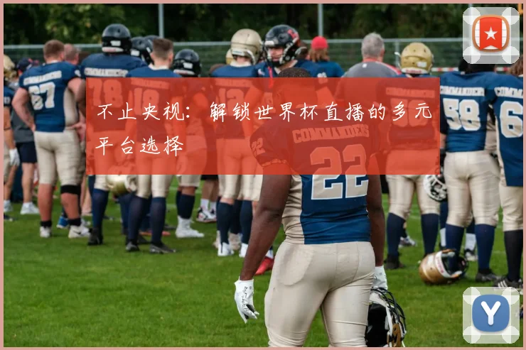 不止央视：解锁世界杯直播的多元平台选择