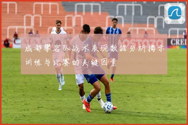 成都攀岩队战术表现数据分析揭示训练与比赛的关键因素